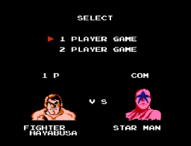 Pro Wrestling