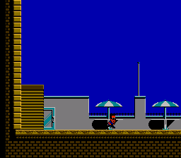 Hudson Hawk