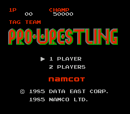 Special Tag Team Pro Wrestling