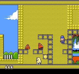Kiwi Kraze - A Bird-Brained Adventure!