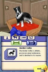 Sims 2, The - Pets