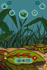 Bee Game, The