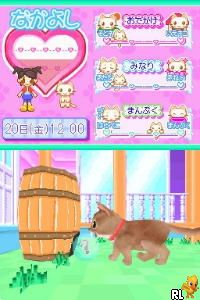 Kawaii Koneko DS