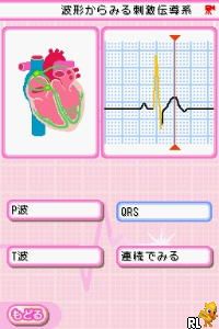 Raku Raku Shindenzu Training DS