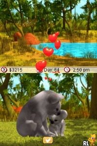 Paws & Claws - Pet Vet - Australian Adventures