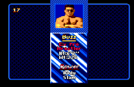Pit Fighter
