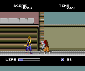 Ninja Warriors, The