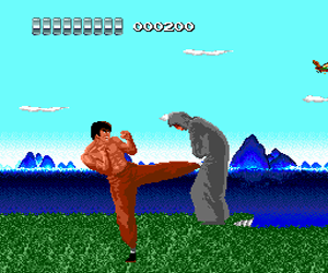 Kung Fu, The