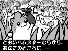 Dokodemo Hamster